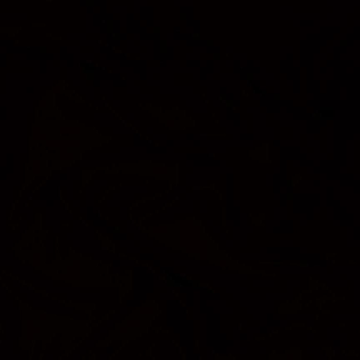 YUNGSWAMP