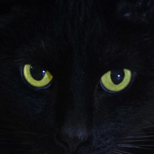 chillingsabrina-netflix:  All Hell is about to break loose. Get