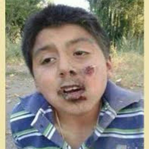 jaidefinichon:  el peor rescate de una oveja - pa verse matao