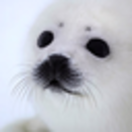 I LOVE SEAL