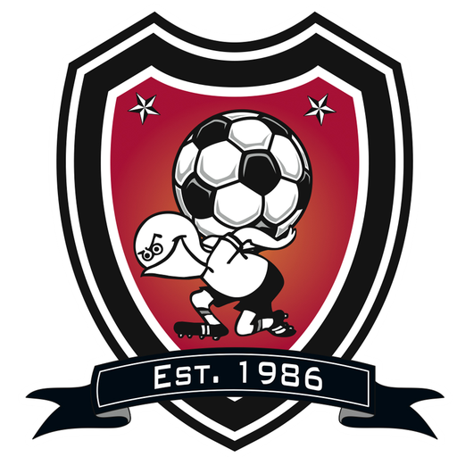 nikys-sportsdotcom:  ￼Nike Ordem Match Ball available online