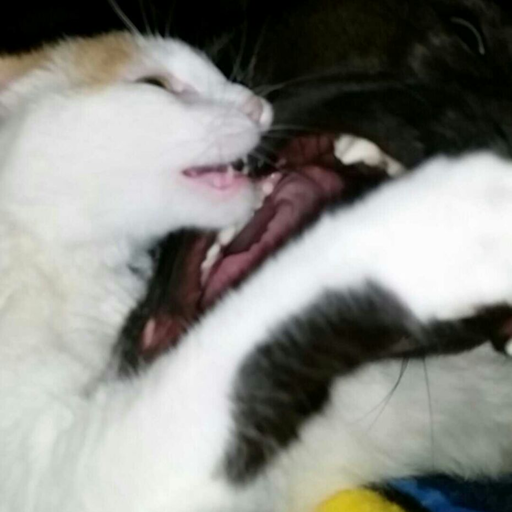 spookyphoque:   stop for just one second. think about all the