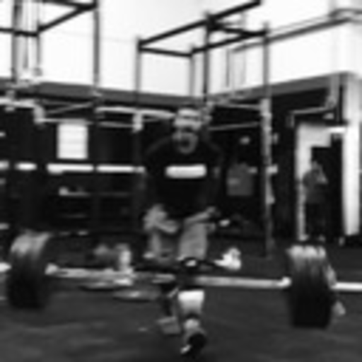 scratchedshinsheavybarbells: