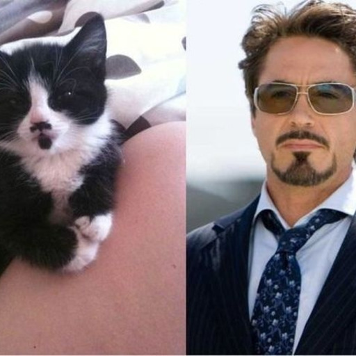 The issue with relationships in Age of Ultron