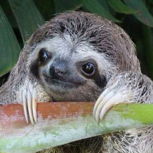  i hate shaving my legs but I love having shaved legs u feel