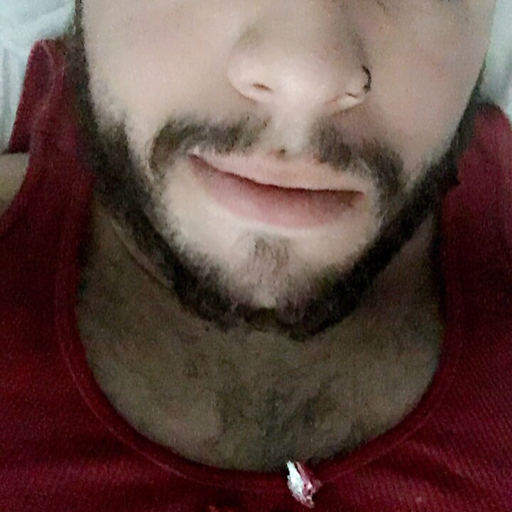 gay-lebanese-otter:  Let me eat your hairy ass all day 