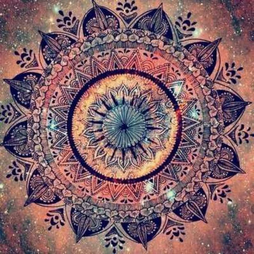 psychodeliclovelies:  “Stay close to people who feel like sunlight.