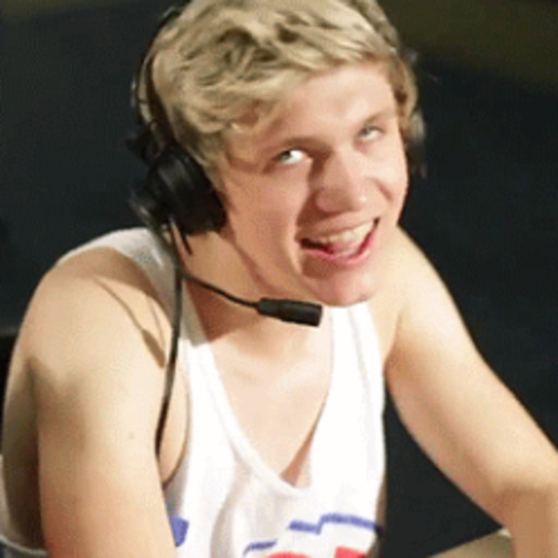 seduced-by-onedirection:  Niall.  What.  the.  hell.  