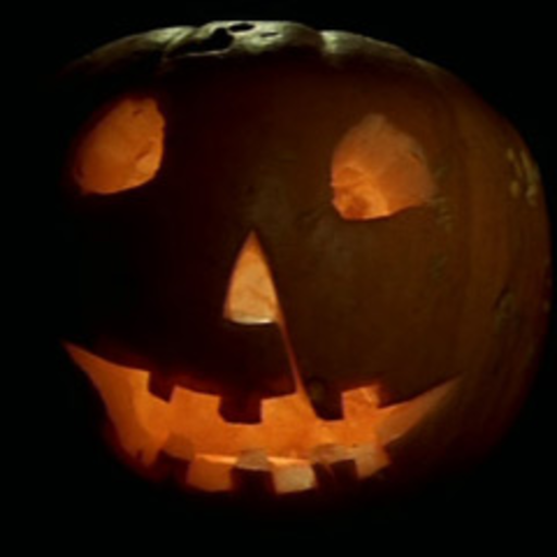 neurointoxication:  when i die i want to become a ghost and haunt