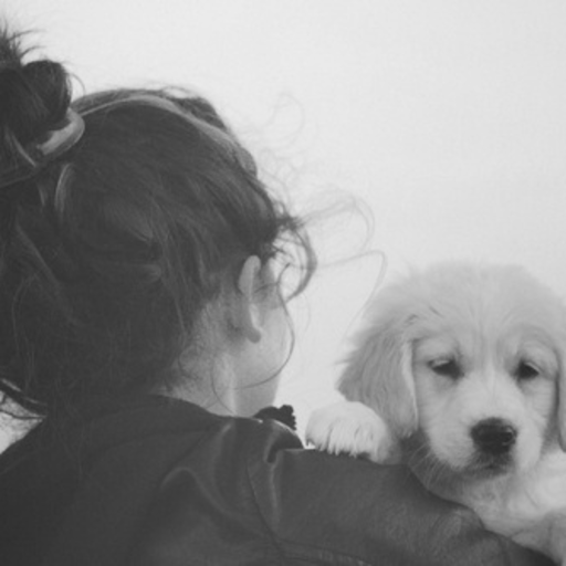 Girl In Love