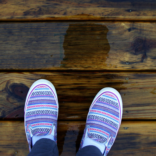 blog my own world