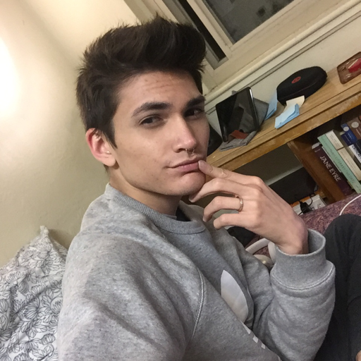 amoying:  vvebkinz:  WHAT DO BOYS DO AT SLEEPOVERS  each other