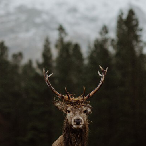 lonelysilence:  😍😍 