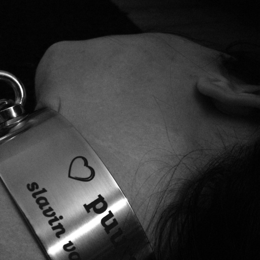 Reblog this if you are over 30 and have a BDSM blog so we can