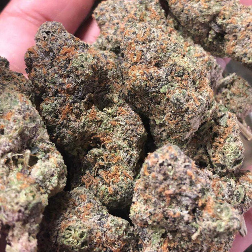 cannabis-creation: Another day at the office, top shelf EXOTICS