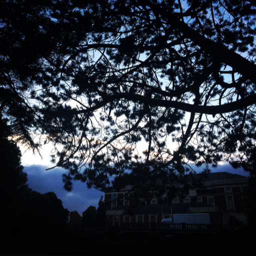 jupitarslastorbit:  My heart is tired of not being loved back