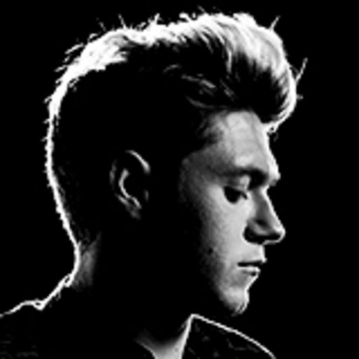 onedhqcentral-blog:  1D Day - Niall on Tour VT 