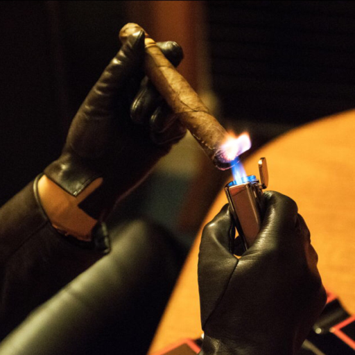 arabiccuckqueanxxx:  