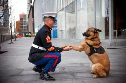 sgtgrunt0331:If this photo doesn’t pull at your heart strings,