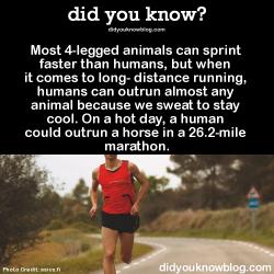 did-you-kno:  Most 4-legged animals can sprint faster than humans,