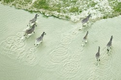 Zack SecklerAbsolutely beautiful images from Botswana, the colours