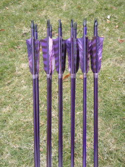 shestheonebeneathmywings:  Deep Purple archery arrows, 40-45lb,