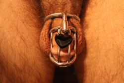 sharefantasies:My locked cock in my Mature Metal Jail Bird. The