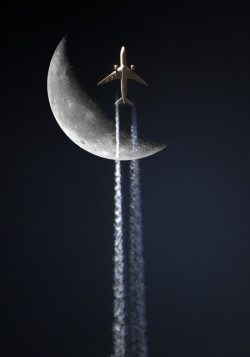 celestiol:   To the Moon | by Dave Henderson. 