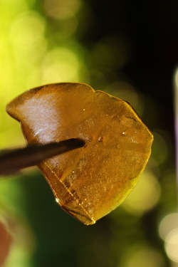 thctara:  A gram of some bomb shatter