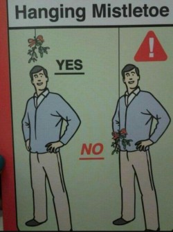 1-fitnezz-junkie:  The proper way to hang a mistletoe?  I think
