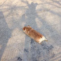 saturnmilk:  lamapalooza:  what a sad loaf of bread  me 