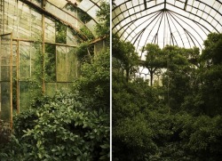 bestabandoned:  Martino Zegwaard - Abandoned greenhouse in castle.