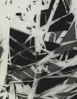 grigiabot:    György KepesStructure Photogram c. 1939–40 