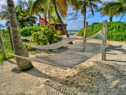 I wish I could lay in that hammock with a nice cold drink right