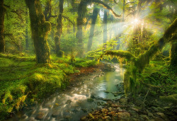 otherealm:  Spirit Garden, Marc AdamusA special place. A very