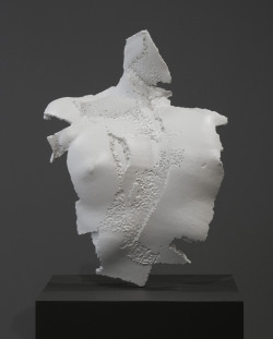 sophiekahn:  Torso of a Woman (degraded fragment) 3d print from