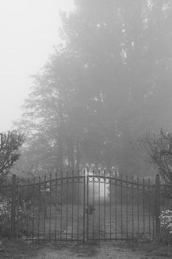 slohann: “morning fog”slohann 