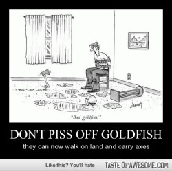 very-demotivational:  Don’t Piss Off Goldfishvery-demotivational.tumblr.com