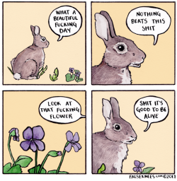 old-moth:  foodffs:  falseknees:  Spring is the fucking greatest