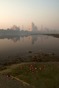 touchdisky:  Taj Mahal, Agra, India by Jitendra Singh 