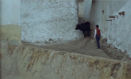 lifestill:Where is the Friend’s Home? (1987) dir. Abbas Kiarostami