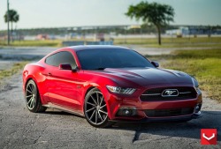 hotamericancars:  Awesome 2015 Ford Mustang GT Rides on Vossen