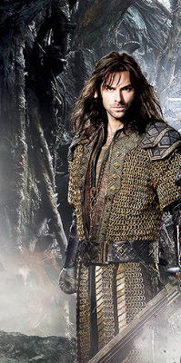 thorinds:  Fili and Kili from the new poster for The Hobbit: