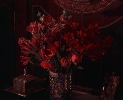 briarfey:Bram Stoker’s Dracula