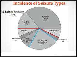 the-seizure-blog:everyone thinks tonic clonic seizure are the
