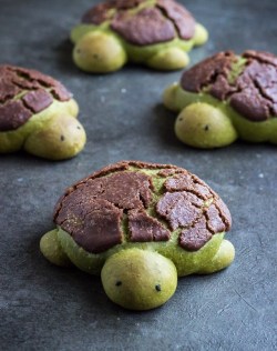 nerdy-king-of-hell: nae-design:  Matcha milk bread turtles with