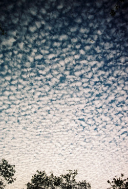 4nimalparty:  FM10 (by Matt___Young) 