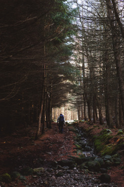 tomjoyphotography:  Verticals // Glen Doll // Scotland 