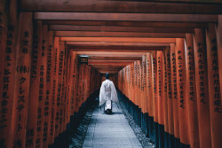 boredpanda:    Japanese Photographer Documents The Beauty Of