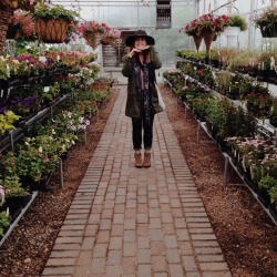 allthetreesofthefield:  I want all of the flowers, plz &